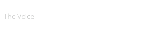 Center for Independence of the Disabled, NY
The Voice